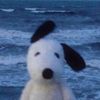 pupperbone