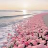 wafaaa_511