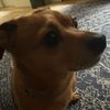 andrew_soccer09