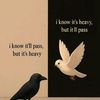 farhat.noreen58