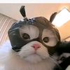 niaaaaaaa7_7