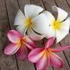 annsocute6