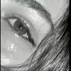 user4029662290744