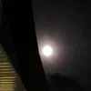 omooiide