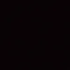 lisa_13_drn