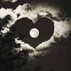 user1402958614052