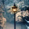 narnia_pevensies
