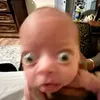 yebctlca