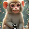 lanh1234532