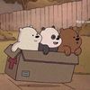 imabear_xtt0