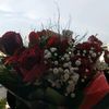dilek_alkan9434