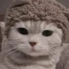 catwith120hz