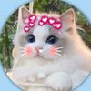 sadiya.akter82099