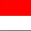 arek_.247