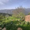 azaliwe