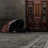 selefulsalihin