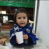 pollo_chiken7.0