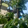 .qh_12347
