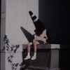 j4n_248