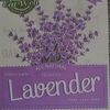 lavander228h