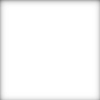 kaydann.n