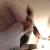 user_06110518