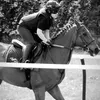 frayadobsonracing
