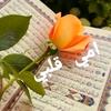 🎀 اميرة نور الحياة🎀بنت42🌹