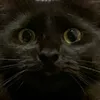memefar6