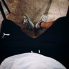 vladutz.g