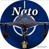 nato_main_account