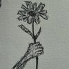 mdarmanalif789