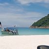 mohammadshahir8