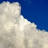 pondermind