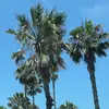 maddieisgreat140