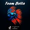 _team_betta_