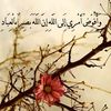 fatma42375