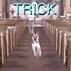 l_d3st1ny_l