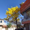 doriaportal