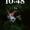 14g__