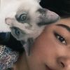 stef_niabb