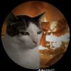 marco.gatos