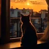 hoanguyen26809