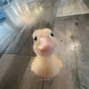 nick_name793