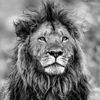 moisha_abraam6