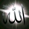 ahmad52238