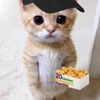 catchickennuggets0