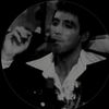 flockraiders11