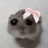 yappachinoo