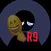 r_radwan30